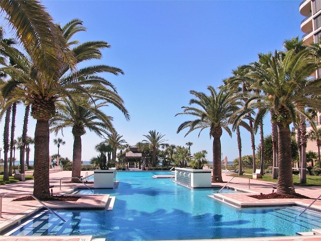 view of swimming pool