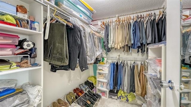 walk in closet featuring carpet floors