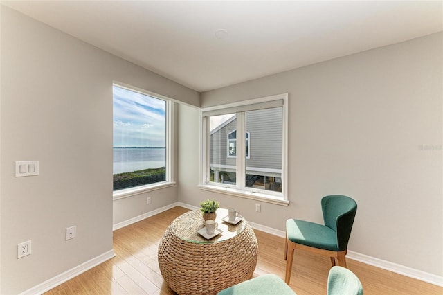 sitting room with light hardwood / wood-style floors