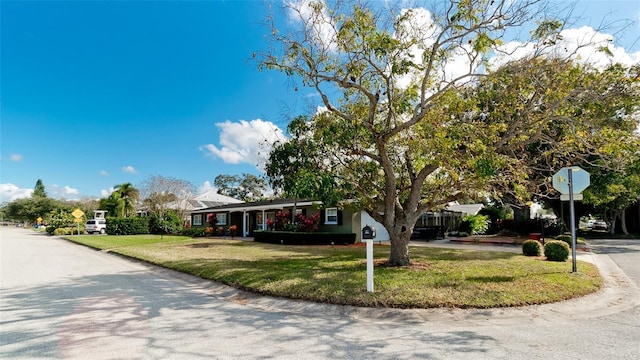 ranch-style home with a front yard