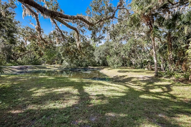 view of yard with a water view