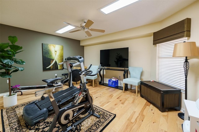 exercise area featuring ceiling fan and light wood-type flooring