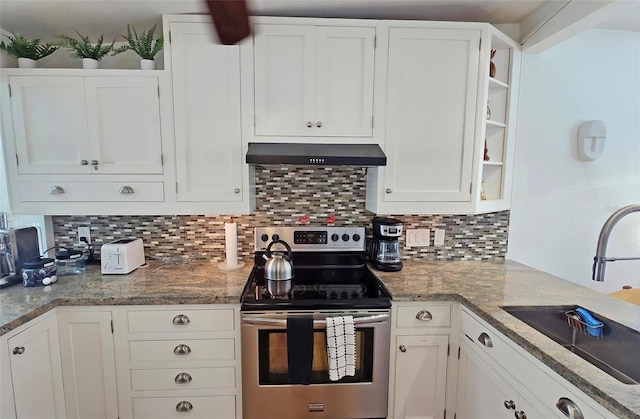 kitchen with sink, white cabinetry, light stone counters, ventilation hood, and stainless steel electric stove