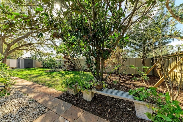 view of yard featuring a shed