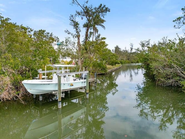 dock area with a water view