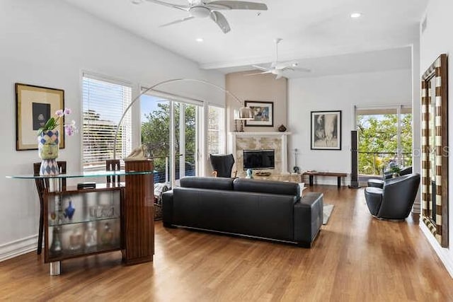 living room with hardwood / wood-style flooring and ceiling fan