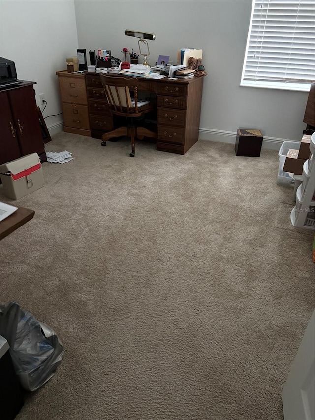 home office with light colored carpet