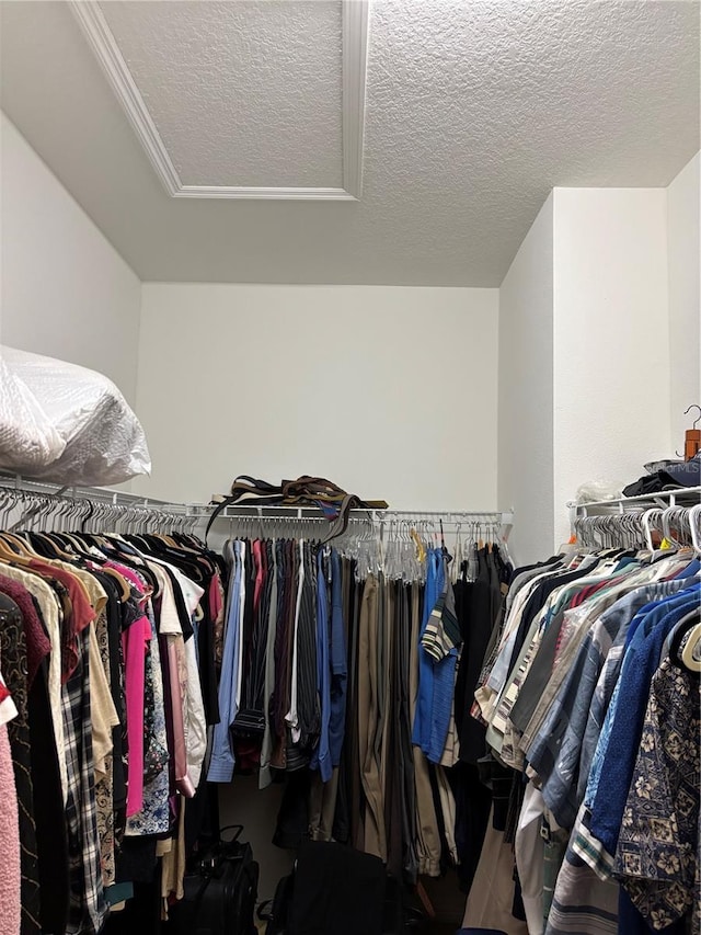 view of spacious closet