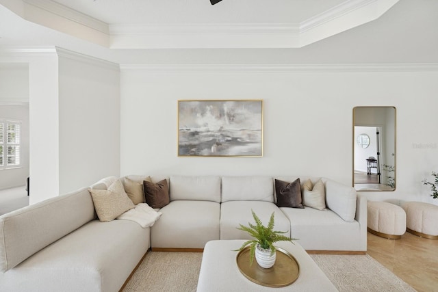 living room featuring a tray ceiling and ornamental molding