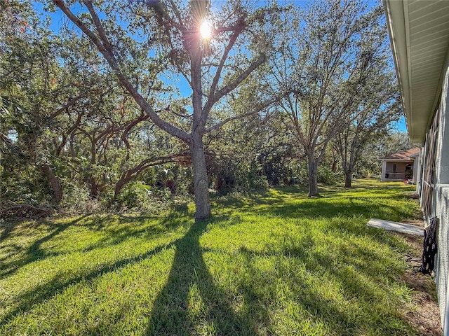 view of yard