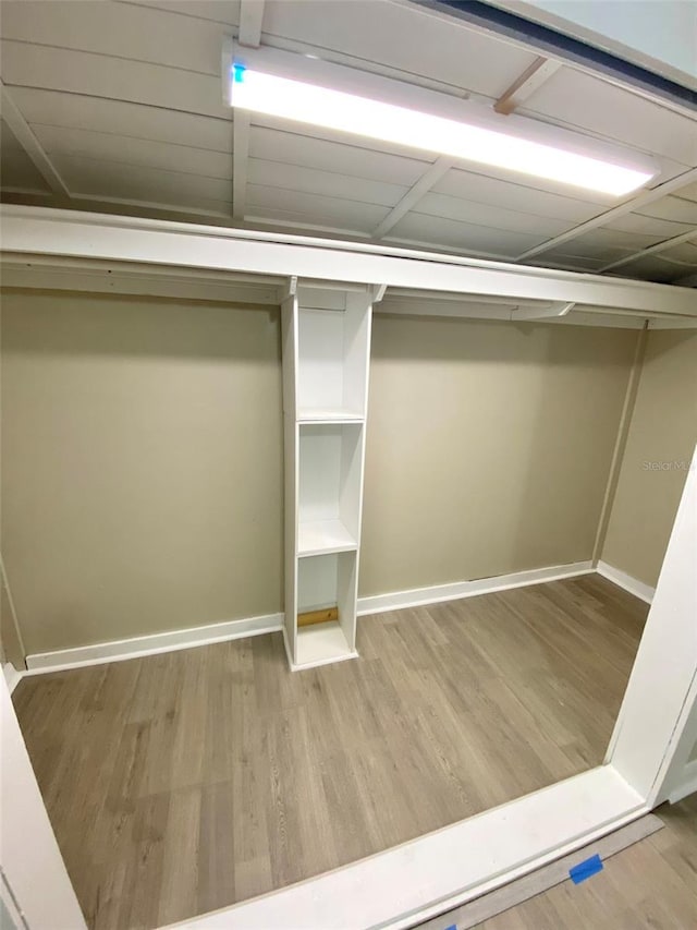 spacious closet with light wood-type flooring