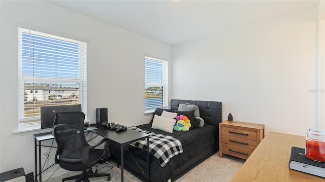 bedroom featuring light carpet