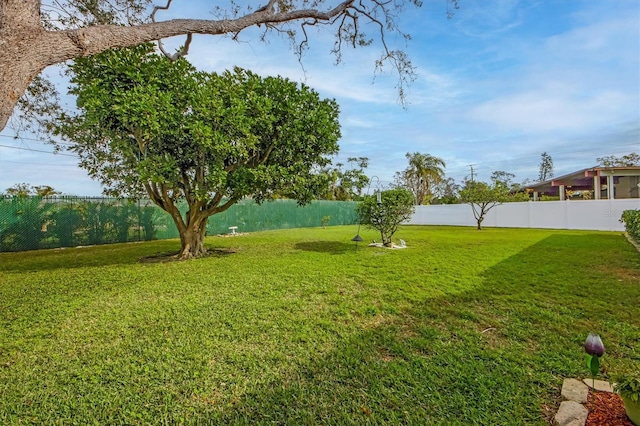 view of yard