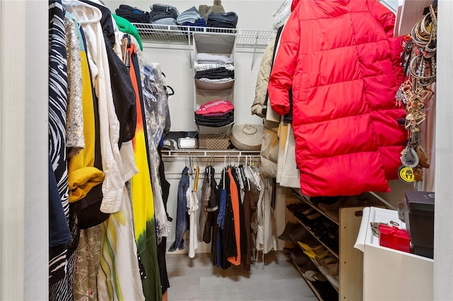 spacious closet with wood-type flooring