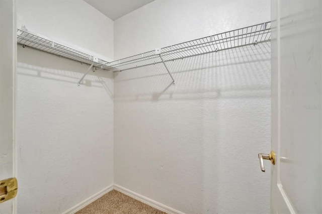 spacious closet with carpet floors