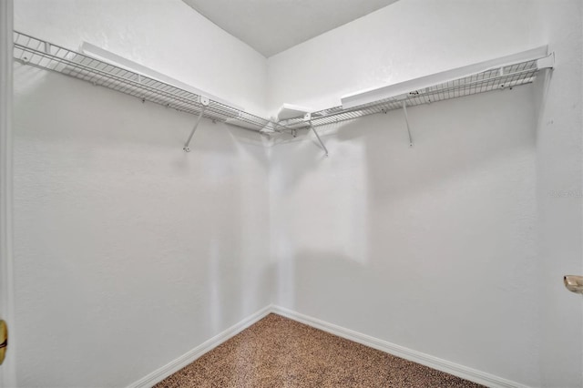 walk in closet with carpet