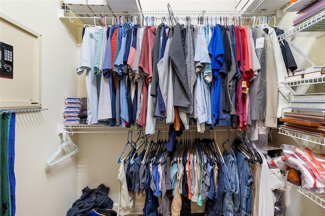 view of spacious closet