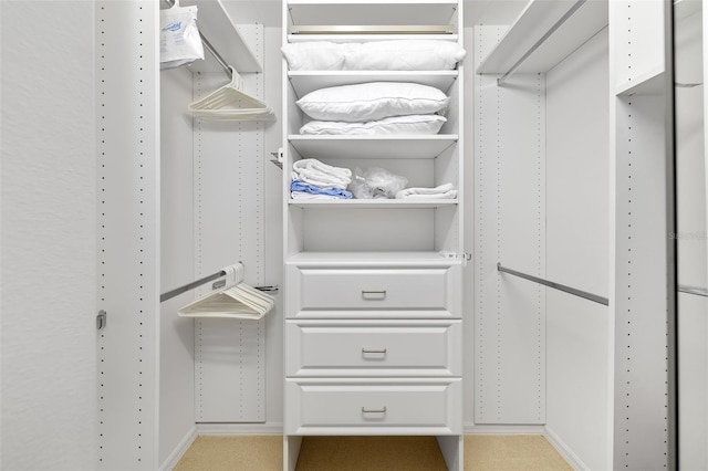 spacious closet featuring light carpet