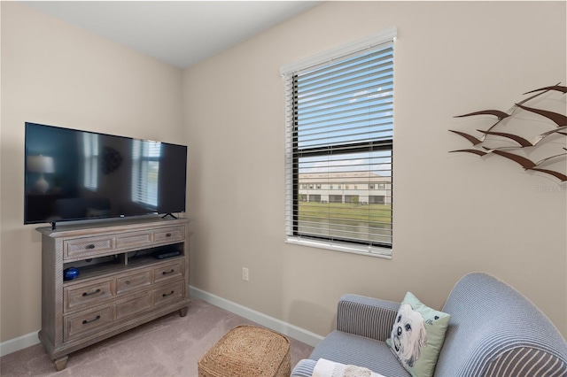 living area featuring light colored carpet