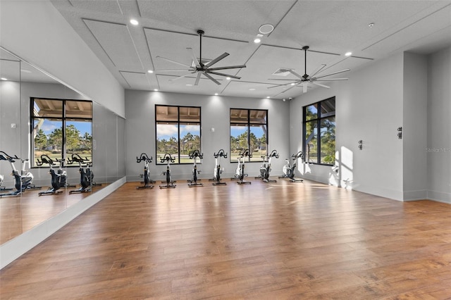 gym featuring light hardwood / wood-style floors and ceiling fan