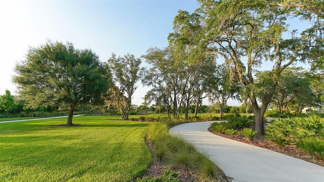 view of home's community featuring a lawn