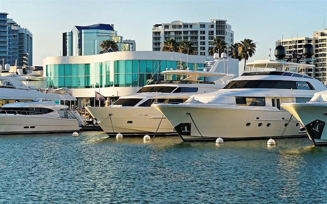 dock area featuring a water view