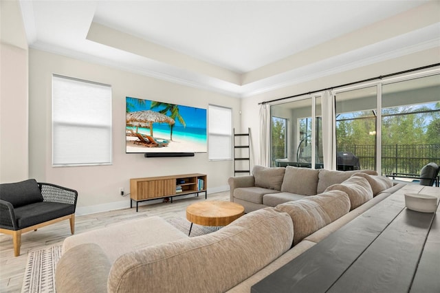 living room with ornamental molding, hardwood / wood-style floors, and a raised ceiling