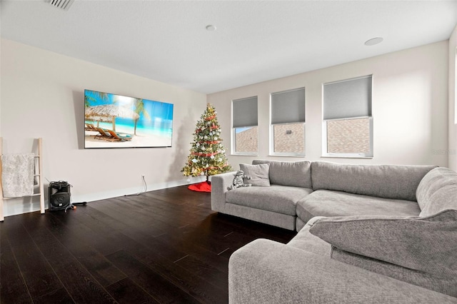 living room featuring hardwood / wood-style floors