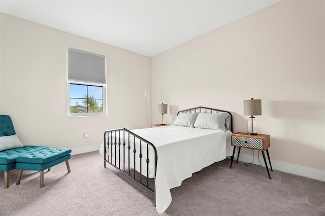 1012 Fernleaf Run, Bradenton, FL 34212 - bedroom featuring carpet floors and baseboards