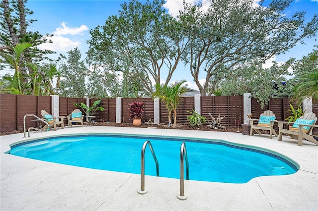 view of pool with a patio area