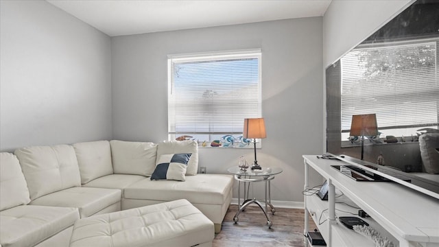 living room with light hardwood / wood-style floors