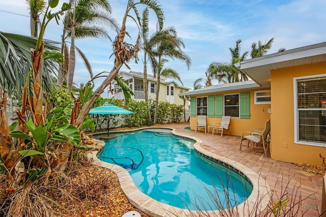 view of pool featuring a patio