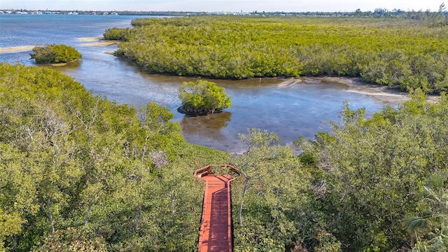 drone / aerial view featuring a water view