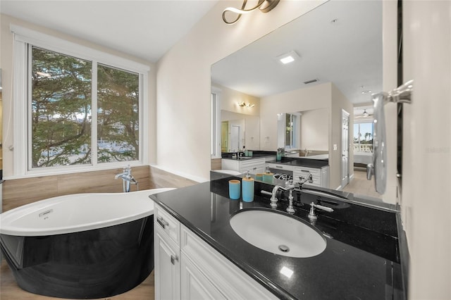 bathroom with vanity, a tub to relax in, and a wealth of natural light