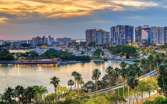 property's view of city featuring a water view