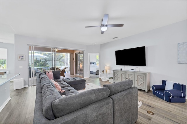 living room with ceiling fan and light wood-type flooring