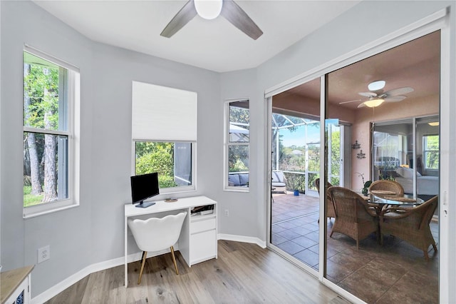 office featuring ceiling fan, wood-type flooring, and a wealth of natural light