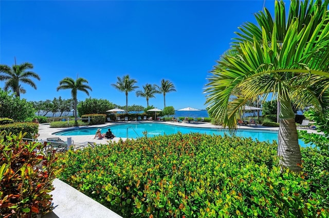 view of swimming pool