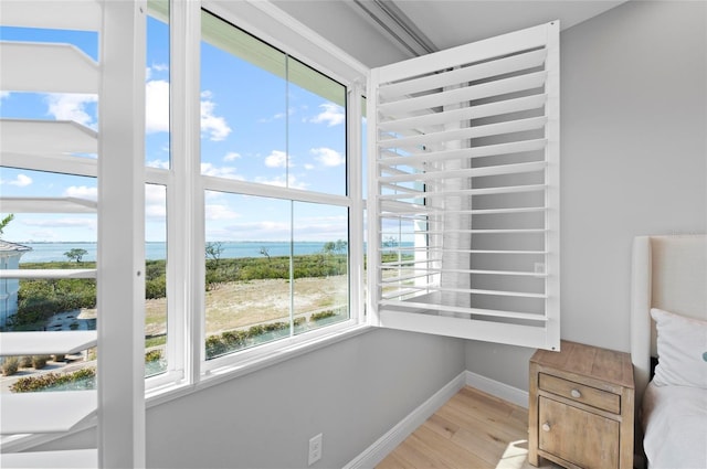 living area featuring a water view and light hardwood / wood-style flooring