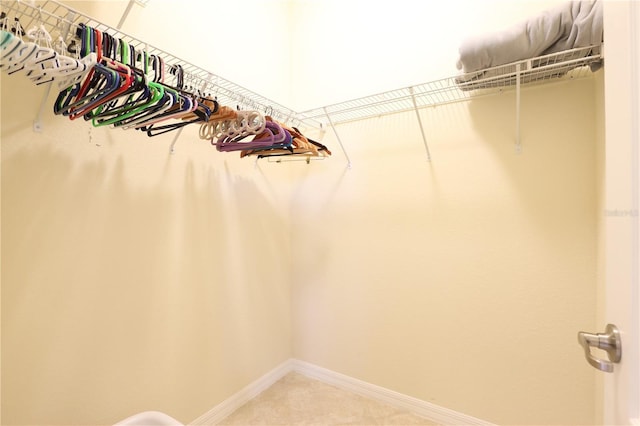 spacious closet featuring carpet