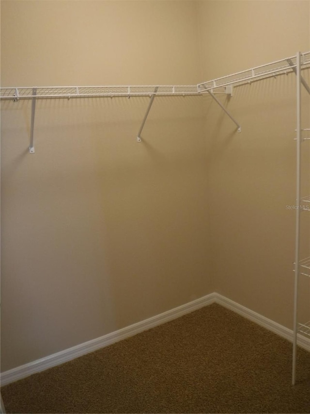 walk in closet with carpet