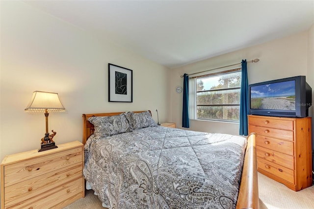 bedroom with carpet flooring