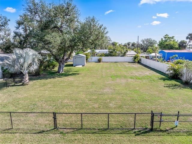 view of yard with a storage unit