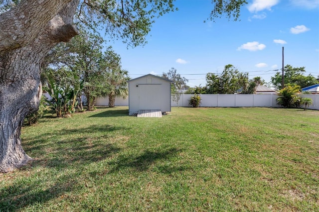 view of yard with a storage unit