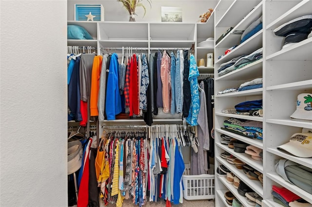 spacious closet with carpet floors