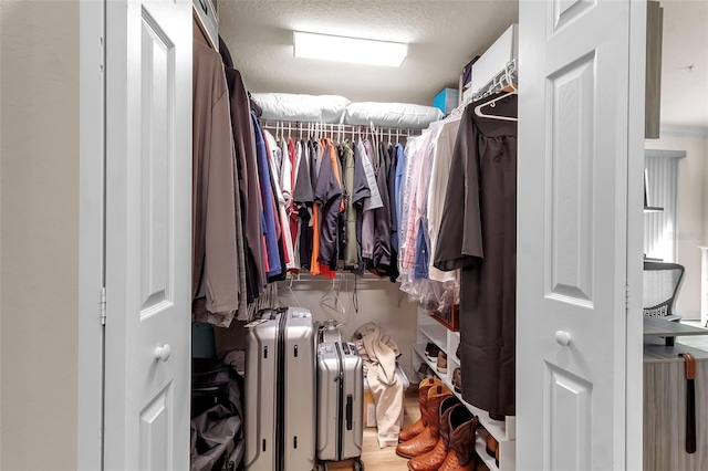 view of walk in closet