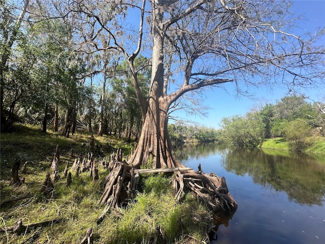 Listing photo 2 for 1991 NW Girl Scout Rd, Arcadia FL 34266