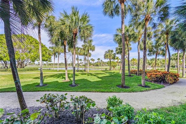 view of community featuring a lawn