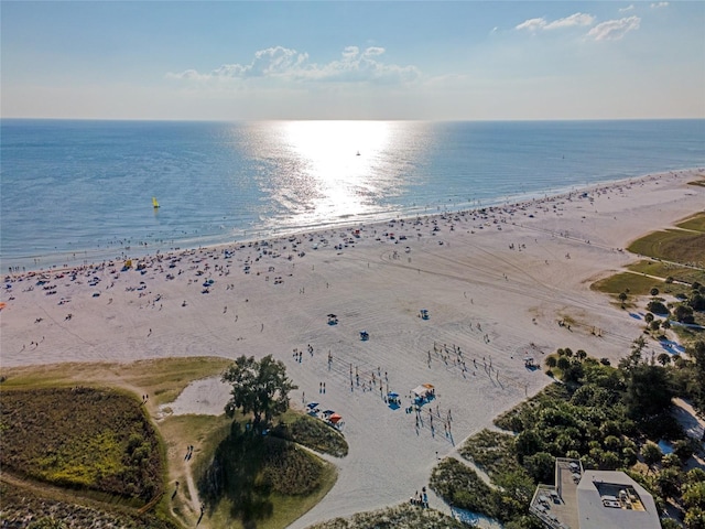 property view of water with a beach view