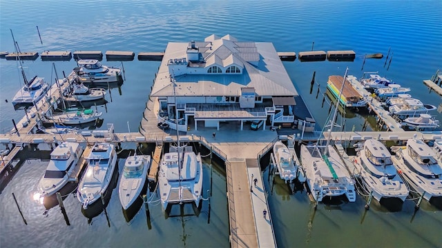 dock area with a water view